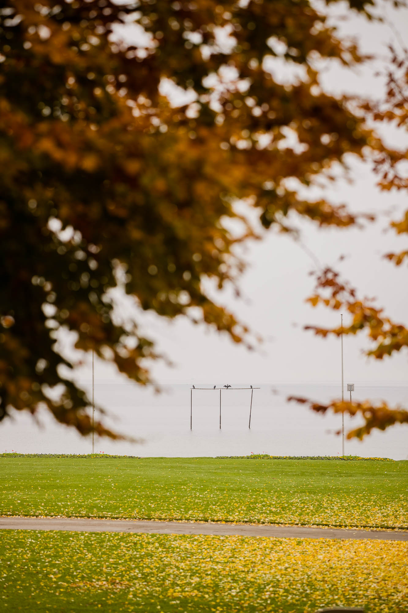 Export x3 1DX29959 Hochzeit 2020 Monika & Sharru